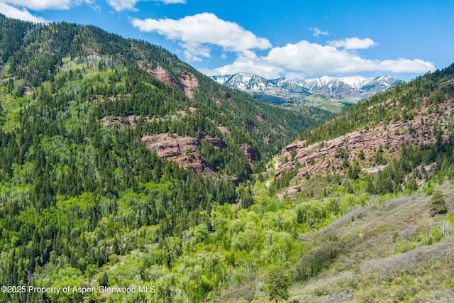 TBD Coal Creek Rd, Redstone, CO 81623