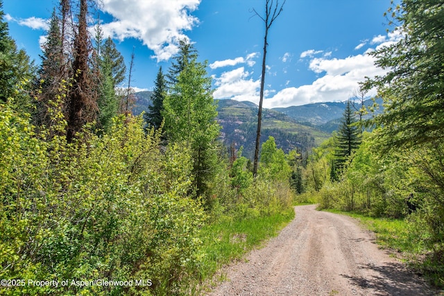 TBD Coal Creek Rd, Redstone, CO 81623