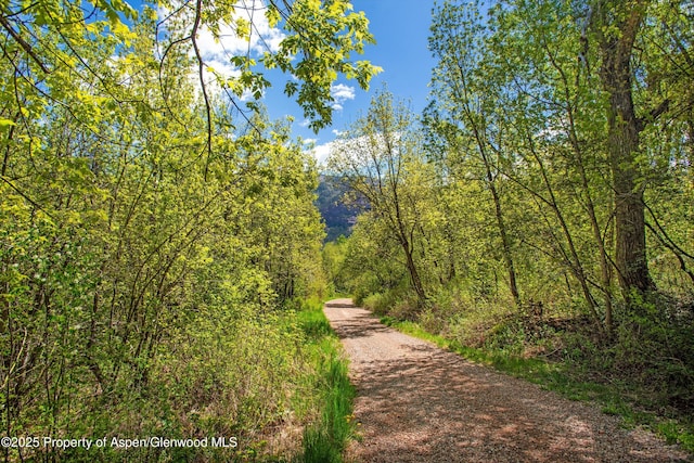 TBD Coal Creek Rd, Redstone, CO 81623