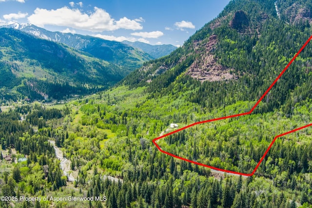 TBD Coal Creek Rd, Redstone, CO 81623