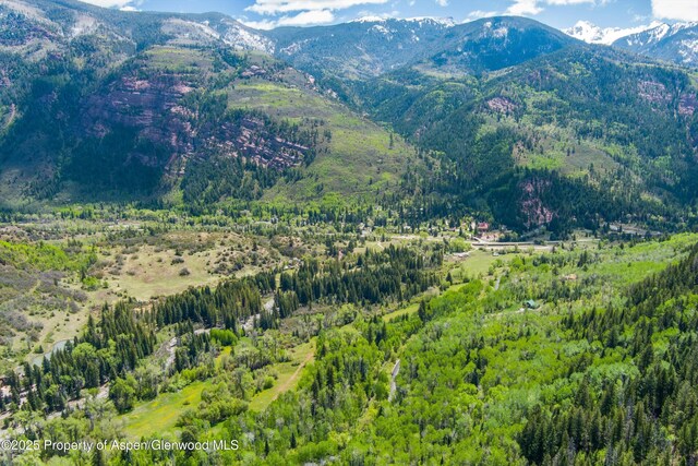 TBD Coal Creek Rd, Redstone, CO 81623