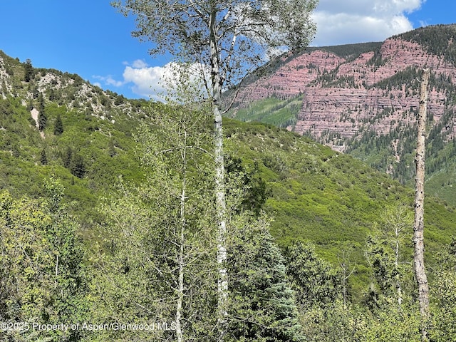 TBD Coal Creek Rd, Redstone, CO 81623
