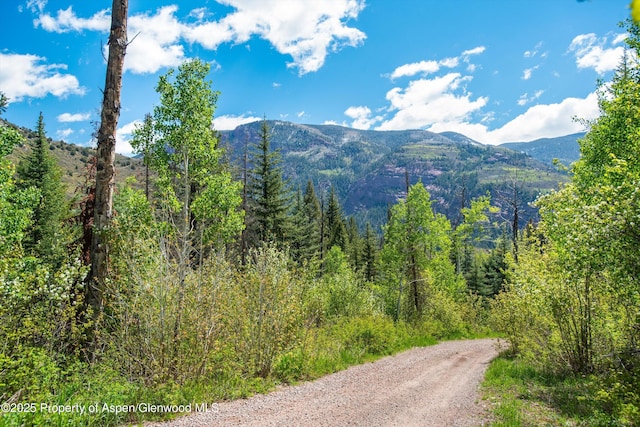 TBD Coal Creek Rd, Redstone, CO 81623