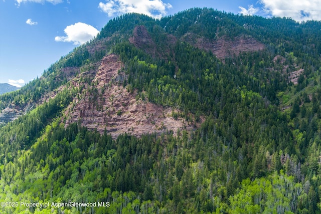 TBD Coal Creek Rd, Redstone, CO 81623