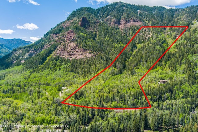 TBD Coal Creek Rd, Redstone, CO 81623