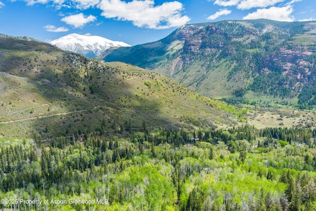 TBD Coal Creek Rd, Redstone, CO 81623
