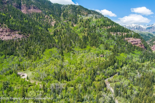 TBD Coal Creek Rd, Redstone, CO 81623