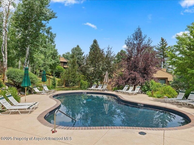 35 Lower Woodbridge Rd Unit 171, Snowmass Village, CO 81615 - photo 12