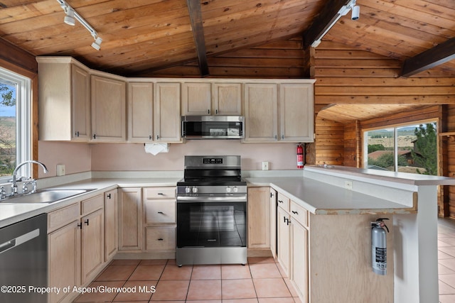 50 Twining Flats Rd, Aspen, CO 81611 - photo 34