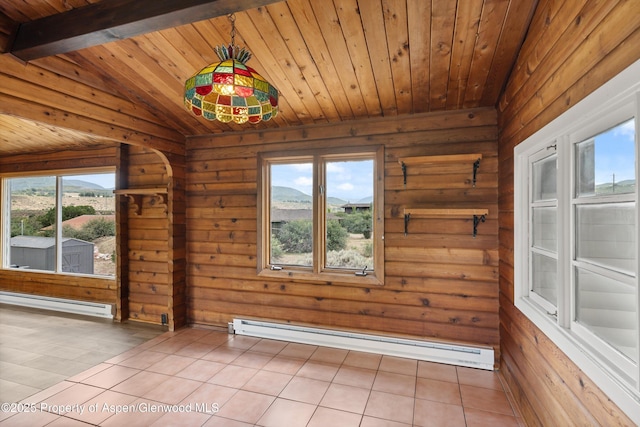 50 Twining Flats Rd, Aspen, CO 81611 - photo 36