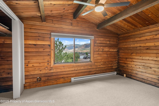 50 Twining Flats Rd, Aspen, CO 81611 - photo 40