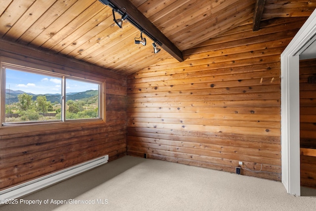 50 Twining Flats Rd, Aspen, CO 81611 - photo 47