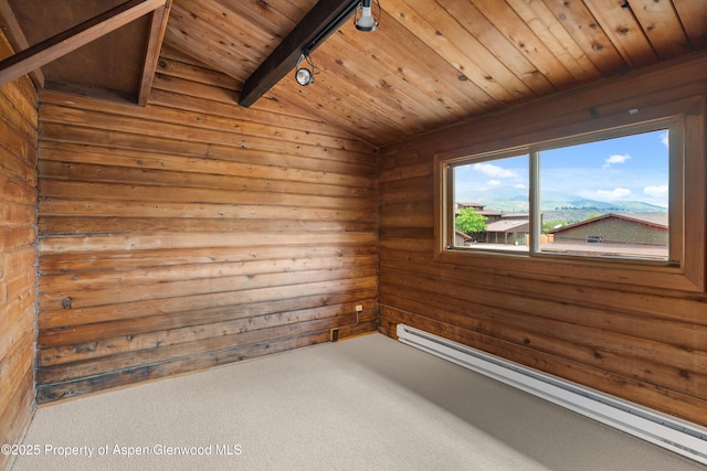 50 Twining Flats Rd, Aspen, CO 81611 - photo 45