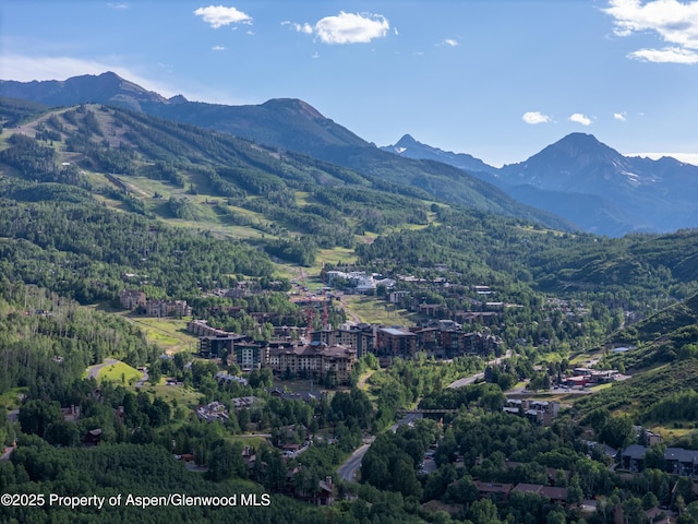 52 Harleston Grn Unit 38, Snowmass Village, CO 81615 - mountain view with a heavily wooded area