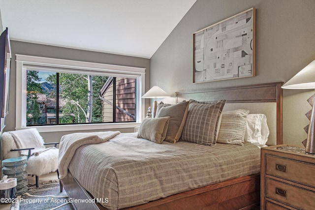 52 Harleston Grn Unit 38, Snowmass Village, CO 81615 - bedroom featuring vaulted ceiling