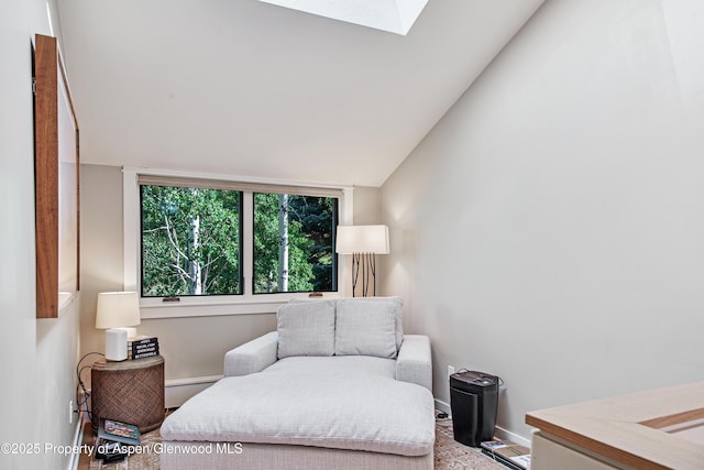 52 Harleston Grn Unit 38, Snowmass Village, CO 81615 - bedroom with a baseboard heating unit, a skylight, and vaulted ceiling