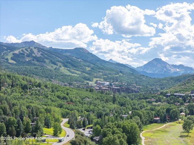 52 Harleston Grn Unit 38, Snowmass Village, CO 81615 - mountain view featuring a heavily wooded area
