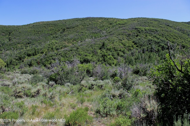 TBD Shield O Rd, Snowmass, CO 81654 - photo 2