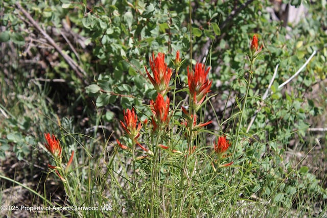 TBD Shield O Rd, Snowmass, CO 81654 - photo 11