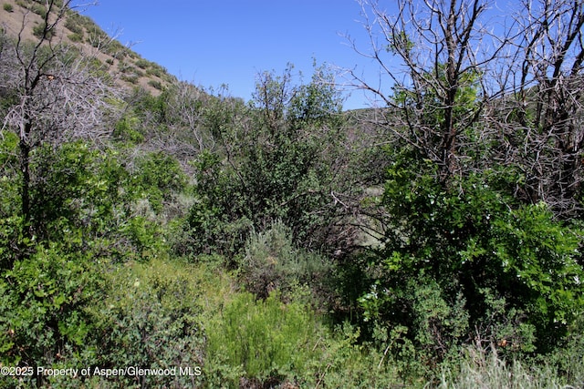 TBD Shield O Rd, Snowmass, CO 81654 - photo 7