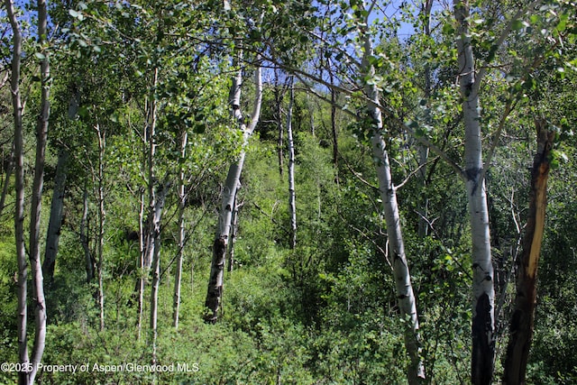 TBD Shield O Rd, Snowmass, CO 81654 - photo 6