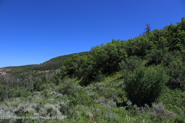 TBD Shield O Rd, Snowmass, CO 81654 - photo 5