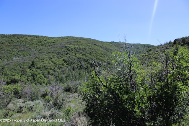 TBD Shield O Rd, Snowmass, CO 81654 - photo 14