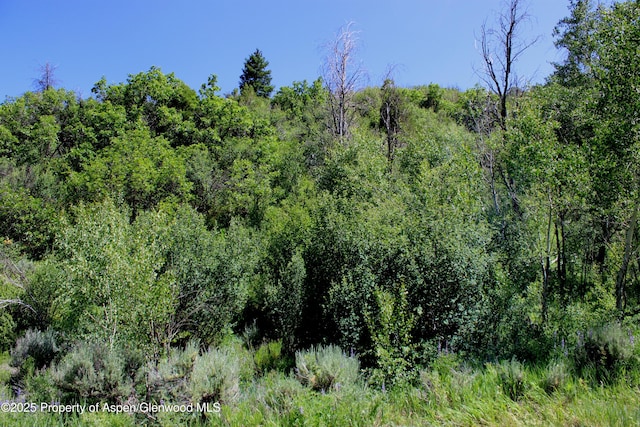TBD Shield O Rd, Snowmass, CO 81654 - photo 13
