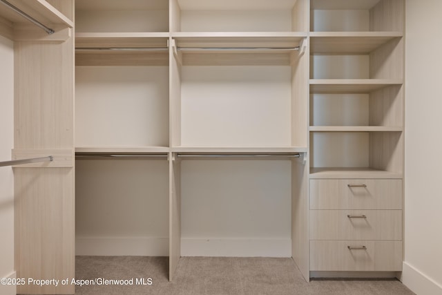 spacious closet with light carpet