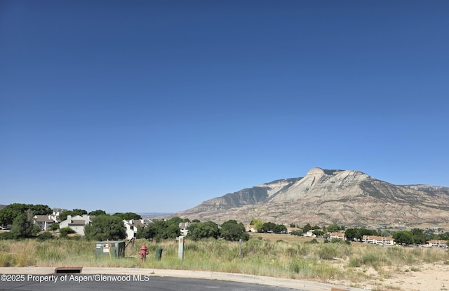 318 Eagle Ridge Dr, Parachute, CO 81635 - view of mountain backdrop