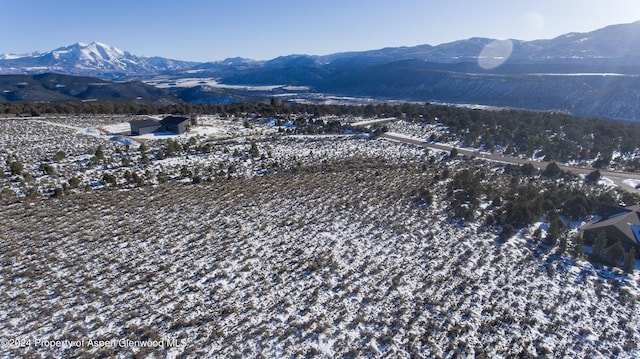 1080 Elk Springs Dr, Glenwood Springs CO, 81601 land for sale