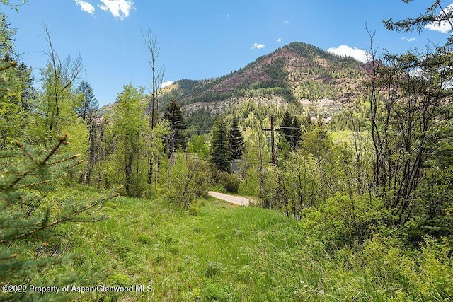 TBD Firehouse Rd, Redstone, CO 81623