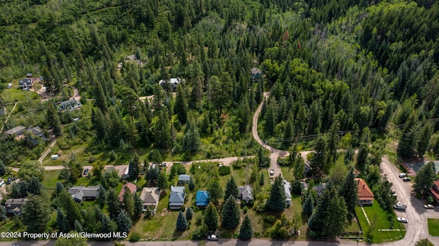 TBD Firehouse Rd, Redstone, CO 81623 - photo 16