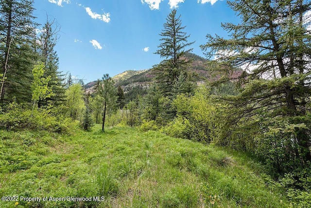 TBD Firehouse Rd, Redstone, CO 81623