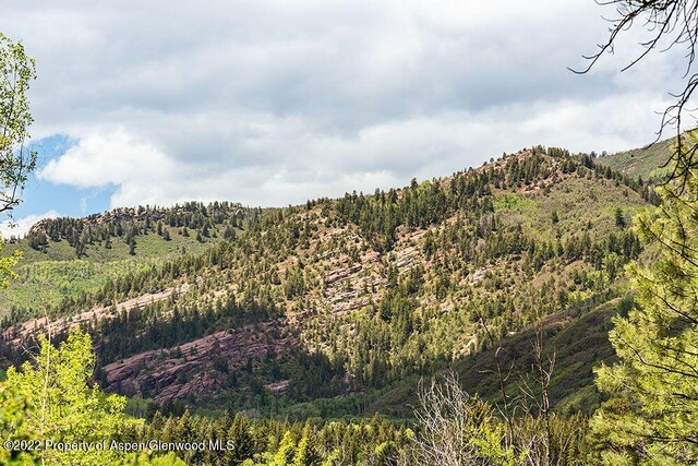 TBD Firehouse Rd, Redstone, CO 81623