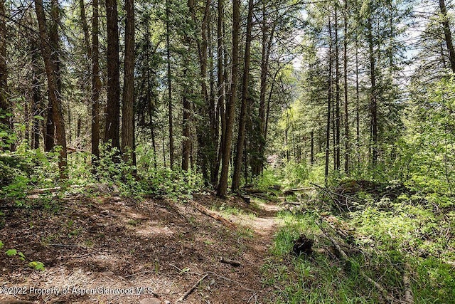TBD Firehouse Rd, Redstone, CO 81623 - photo 8
