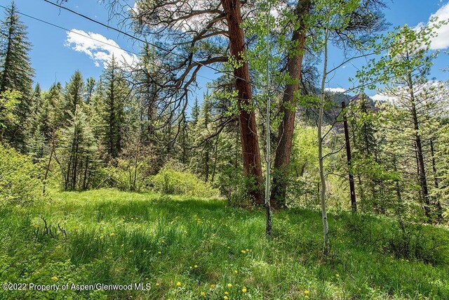 TBD Firehouse Rd, Redstone, CO 81623