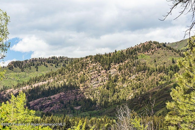 TBD Firehouse Rd, Redstone, CO 81623 - photo 9