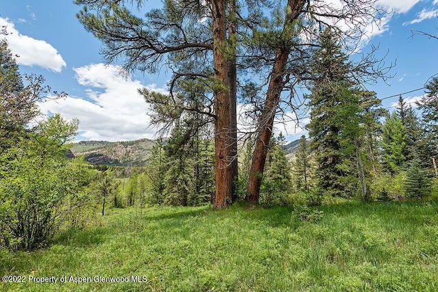 TBD Firehouse Rd, Redstone, CO 81623