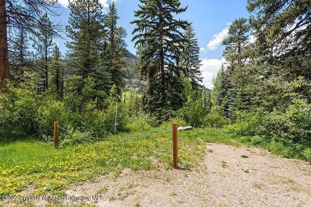 TBD Firehouse Rd, Redstone, CO 81623