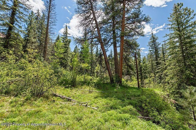 TBD Firehouse Rd, Redstone, CO 81623
