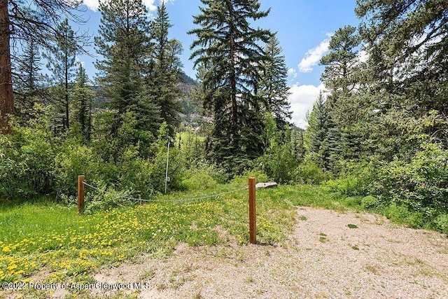 TBD Firehouse Rd, Redstone, CO 81623 - photo 12