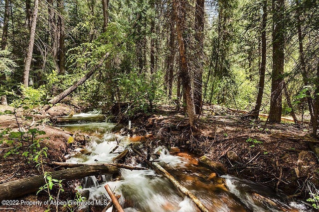 TBD Firehouse Rd, Redstone, CO 81623