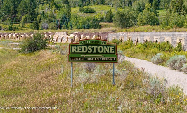 TBD Firehouse Rd, Redstone, CO 81623