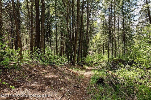 TBD Firehouse Rd, Redstone, CO 81623