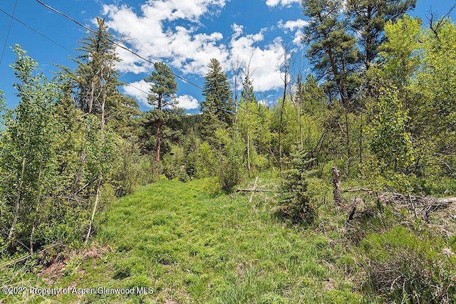 TBD Firehouse Rd, Redstone, CO 81623 - photo 7