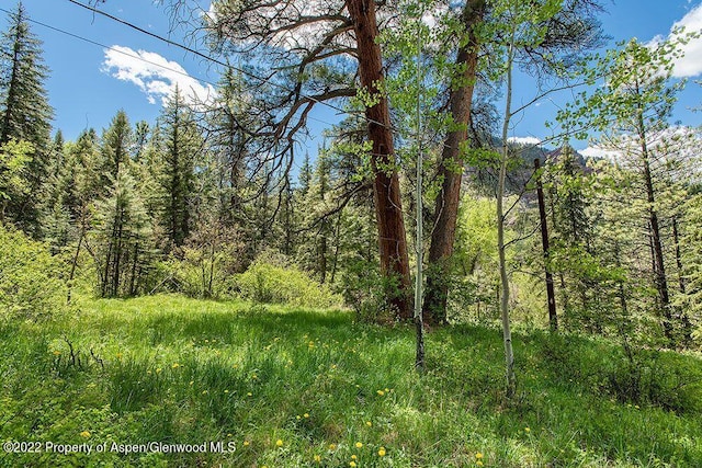 TBD Firehouse Rd, Redstone, CO 81623 - photo 10