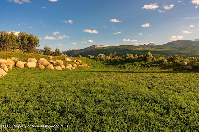 26 Bunker Loop, Aspen, CO 81611 - photo 66