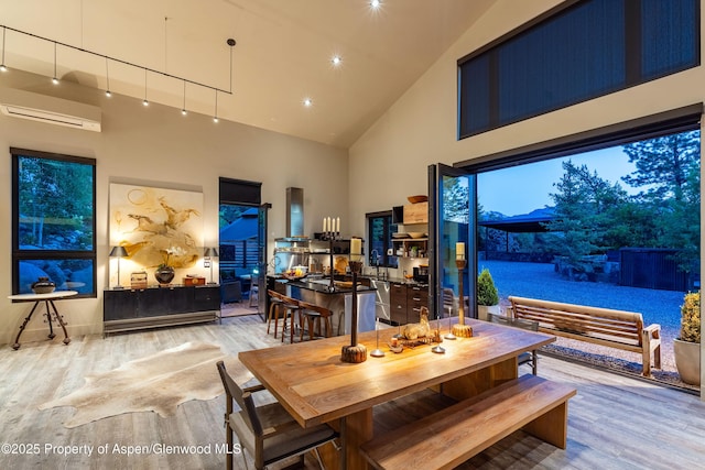 26 Bunker Loop, Aspen, CO 81611 - photo 43