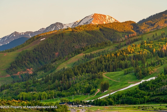 26 Bunker Loop, Aspen, CO 81611 - photo 18